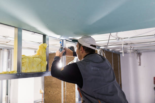 Best Cellulose Insulation in Conneaut Lakeshore, PA